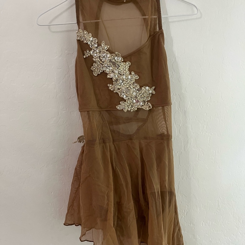 Brown Sheer Dress with Embellishments